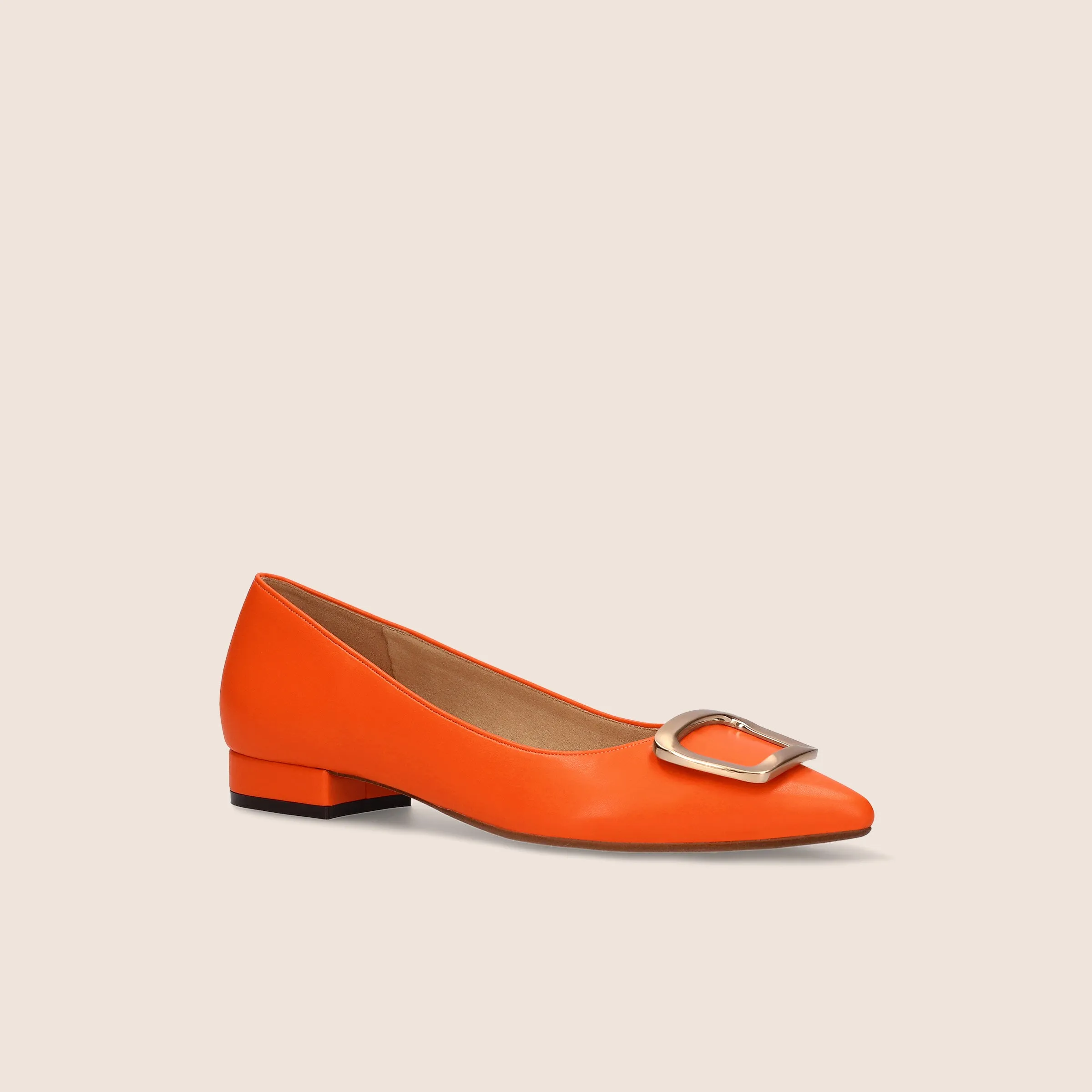 2022AW: Flat Shoes with Pointed Toe Buckle (4785) Black