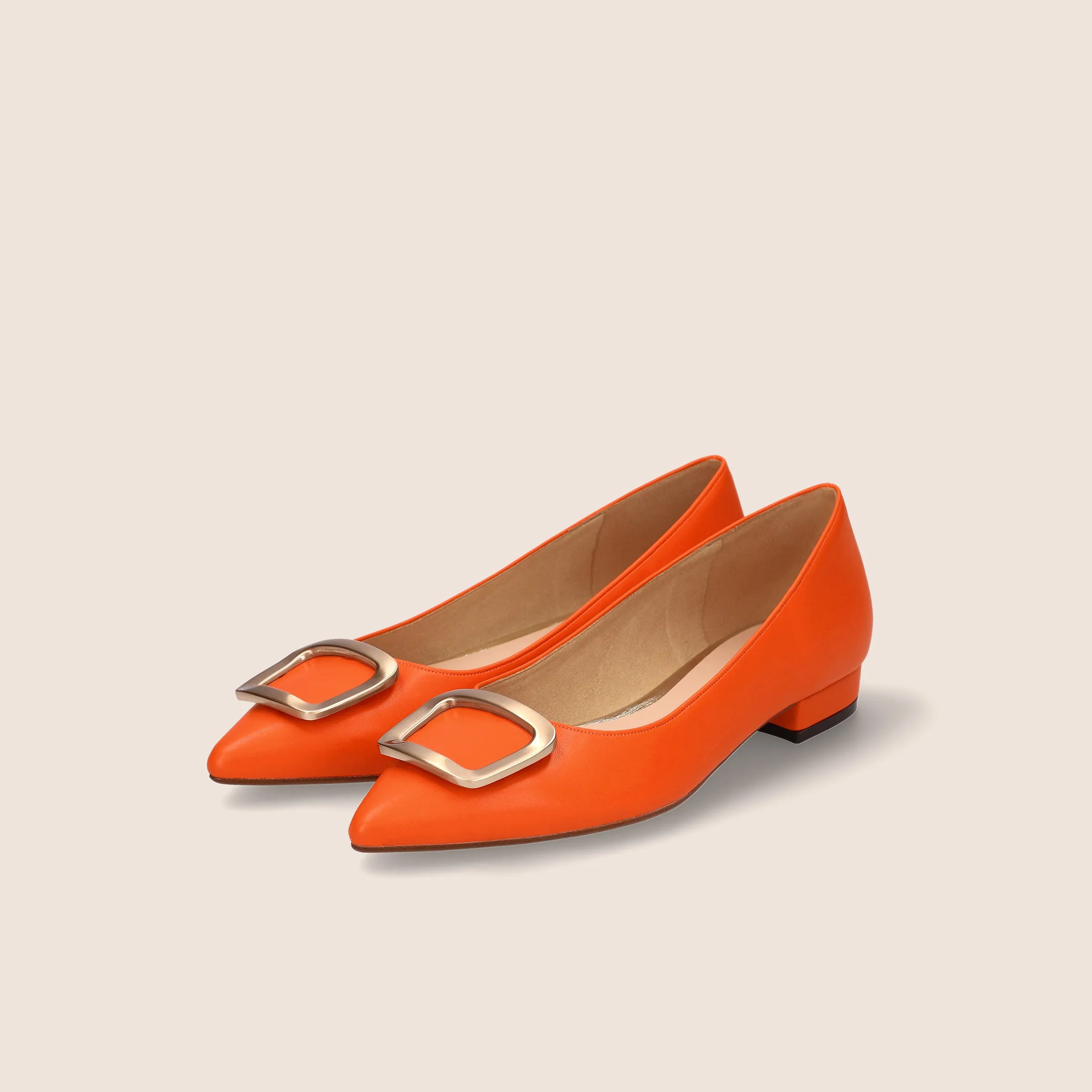 2022AW: Flat Shoes with Pointed Toe Buckle (4785) Black