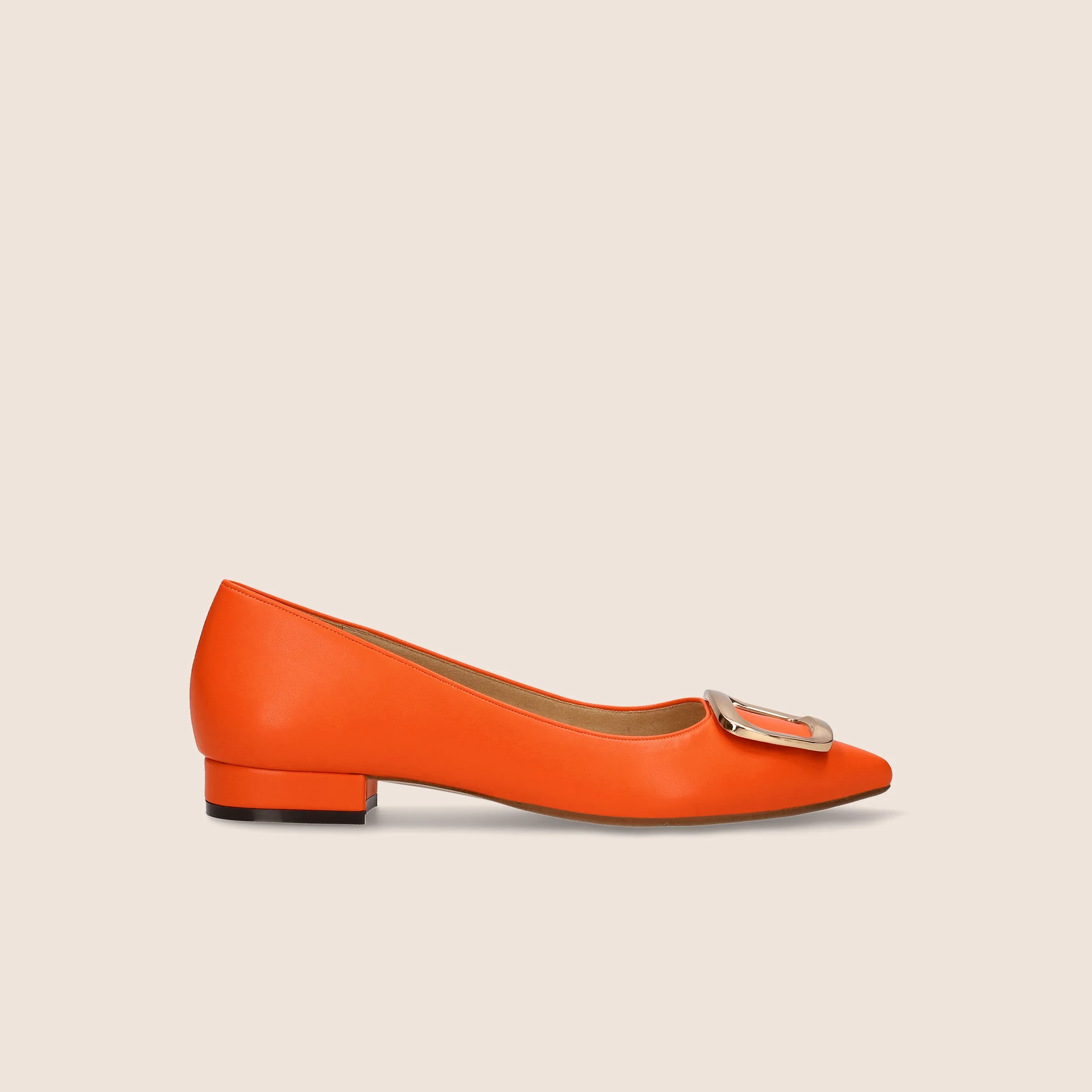 2022AW: Flat Shoes with Pointed Toe Buckle (4785) Black