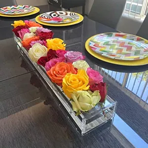24'' Acrylic Flower Vase Rectangular with Holes Long Low Clear Vases Table Centerpieces Rectangle Floral Arrangement Dining Room Decor Square Narrow Rose Holder Plastic Glass Box Tray Modern (Clear)