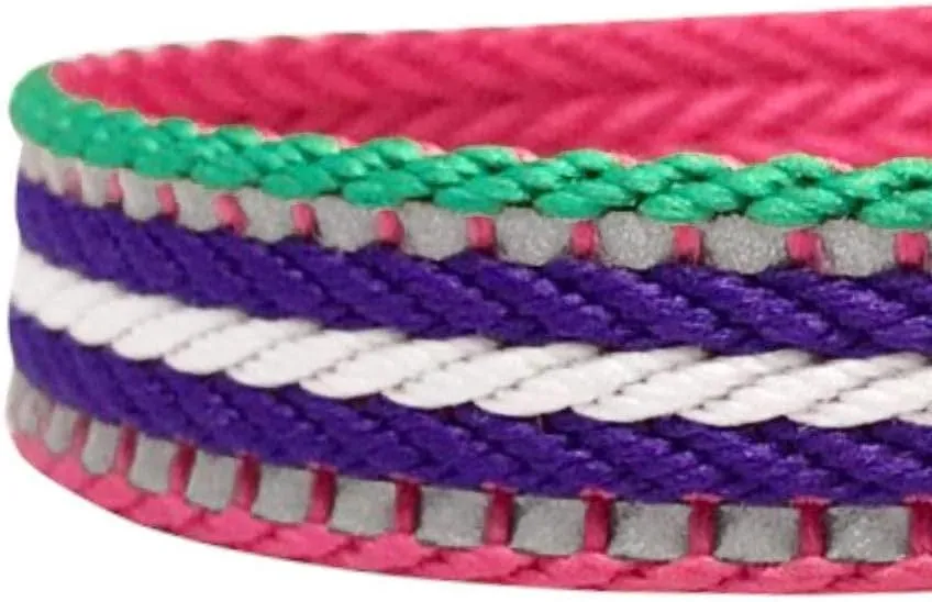 Blueberry Pet Reflective Leash - Strong & Comfortable | Pinch Collar & Puppy Essentials | Heavy Duty Leashes for Large & Medium Dogs | Gentle Leader Products