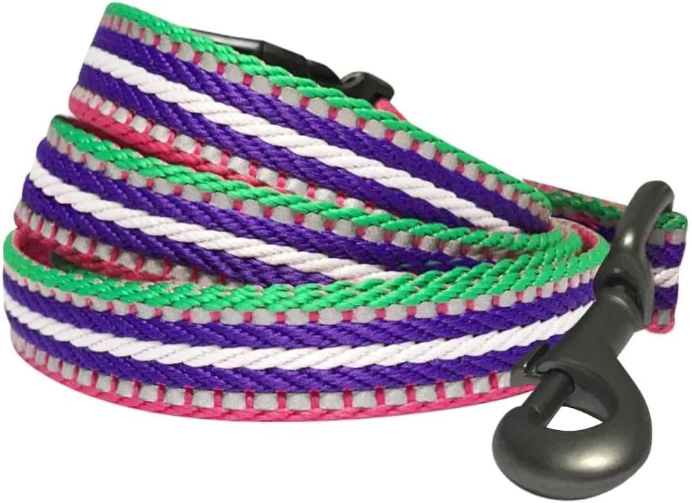 Blueberry Pet Reflective Leash - Strong & Comfortable | Pinch Collar & Puppy Essentials | Heavy Duty Leashes for Large & Medium Dogs | Gentle Leader Products