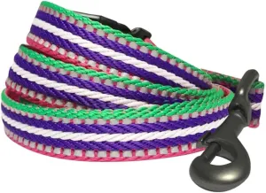 Blueberry Pet Reflective Leash - Strong & Comfortable | Pinch Collar & Puppy Essentials | Heavy Duty Leashes for Large & Medium Dogs | Gentle Leader Products