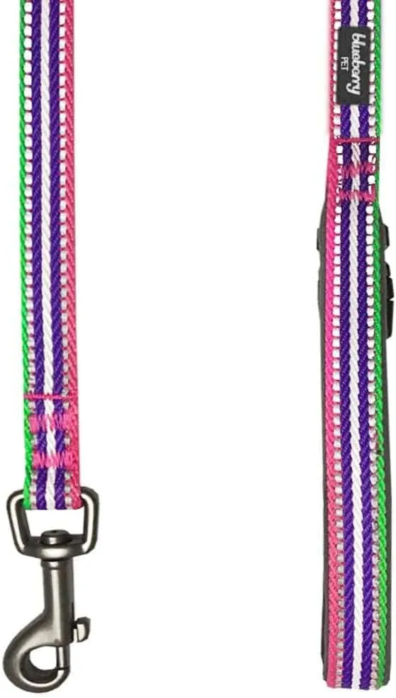 Blueberry Pet Reflective Leash - Strong & Comfortable | Pinch Collar & Puppy Essentials | Heavy Duty Leashes for Large & Medium Dogs | Gentle Leader Products