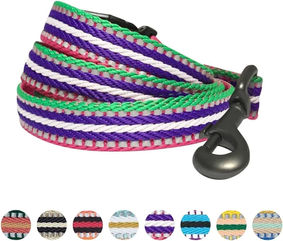Blueberry Pet Reflective Leash - Strong & Comfortable | Pinch Collar & Puppy Essentials | Heavy Duty Leashes for Large & Medium Dogs | Gentle Leader Products