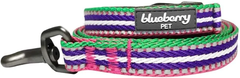 Blueberry Pet Reflective Leash - Strong & Comfortable | Pinch Collar & Puppy Essentials | Heavy Duty Leashes for Large & Medium Dogs | Gentle Leader Products