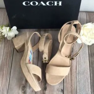 Coach Beechwood Suede Platform 10B