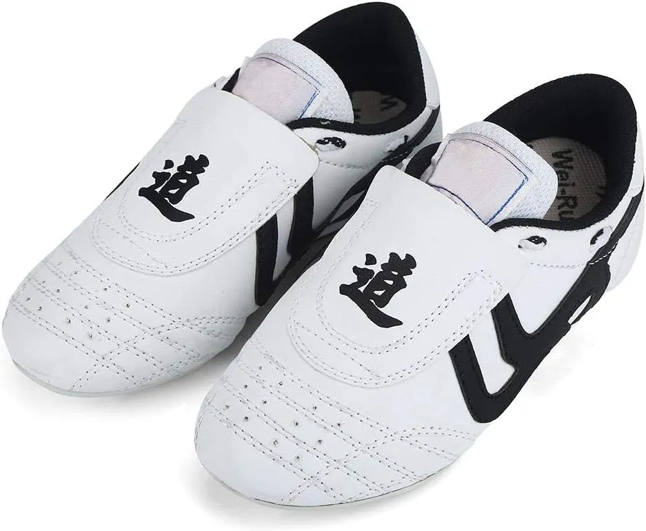 Dilwe Taekwondo Shoes, Kung Fu Taekwondo Indoor Mat Training Shoes 10 Sizes Soft Rubber Soles Martial Arts Sneaker for Women Men Kong Fu Taichi (36)