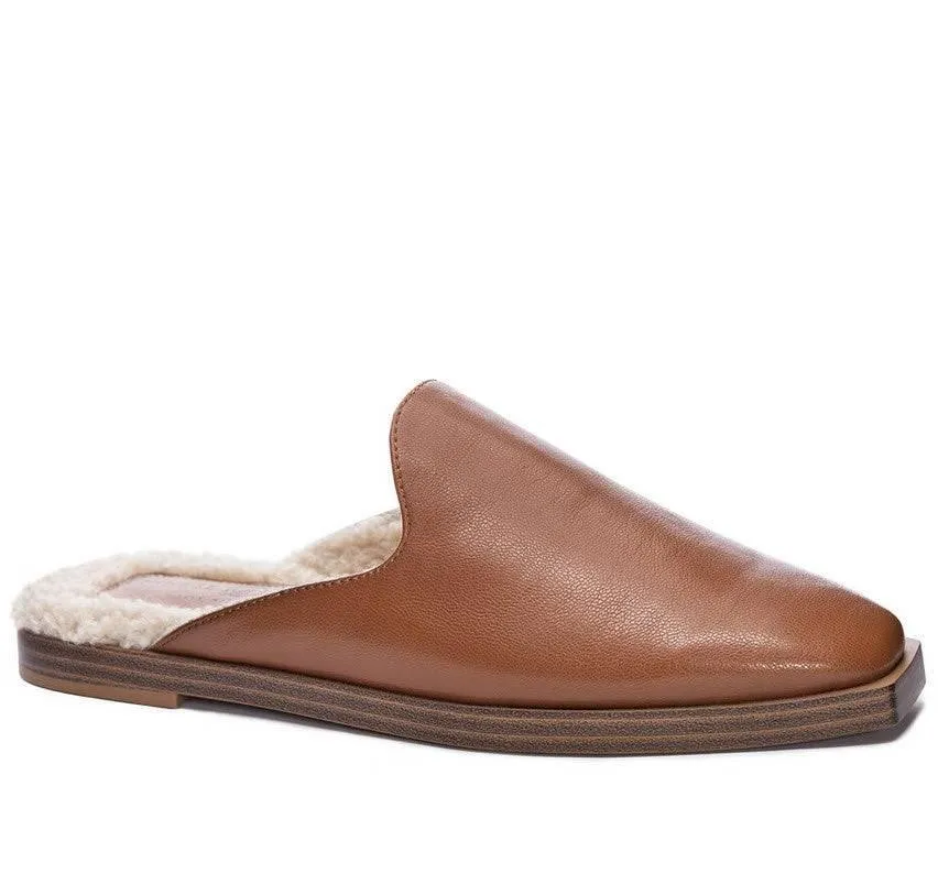 Domino Mule Camel