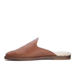 Domino Mule Camel