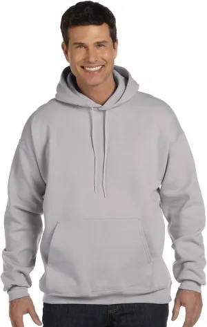 Hanes Men's F170