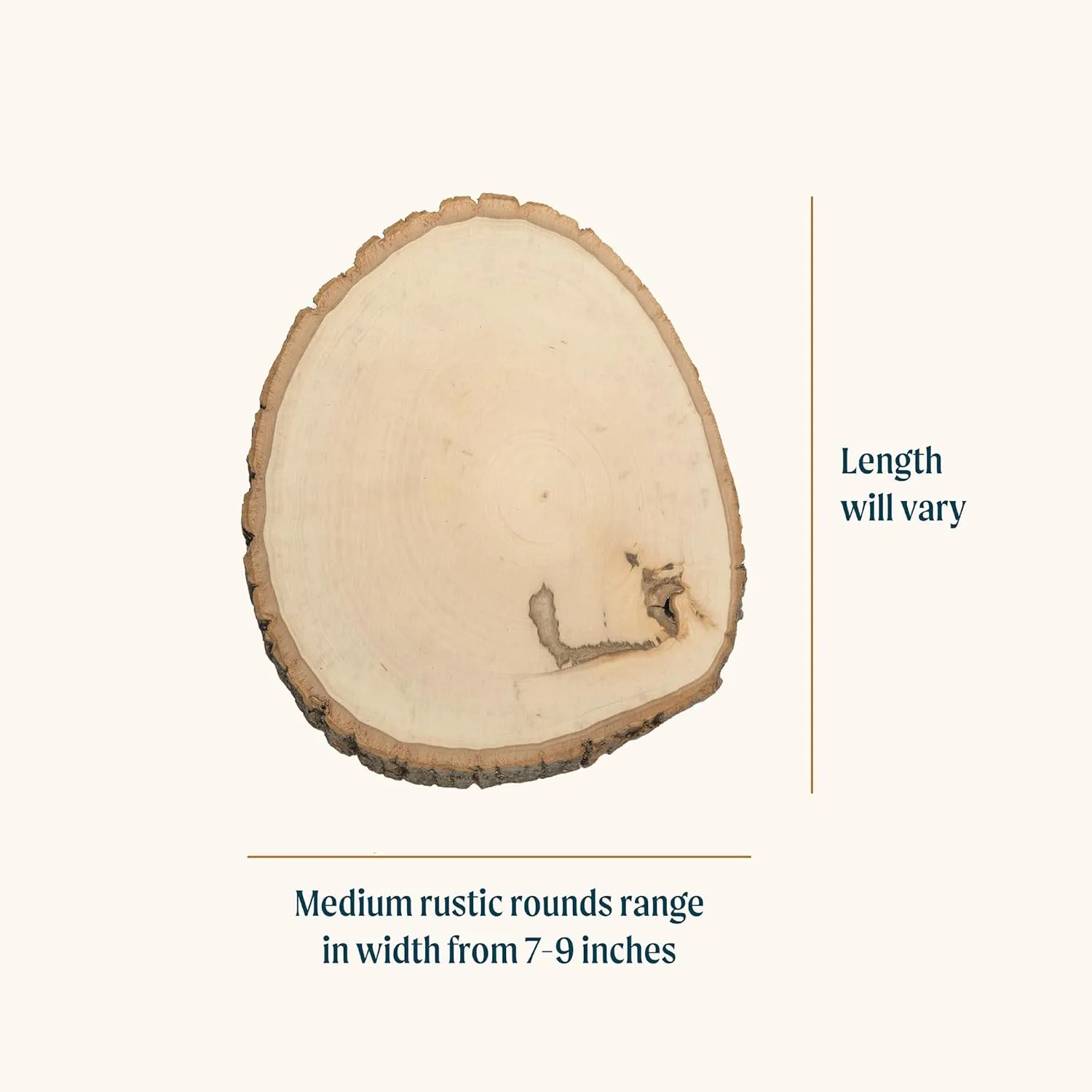 Walnut Hollow Rustic Basswood Round, Medium 7-9" Wide with Live Edge Wood (Pack of 6) - for Wood Burning, Home Décor, and Rustic Weddings