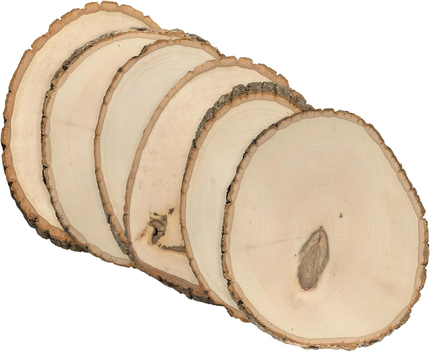 Walnut Hollow Rustic Basswood Round, Medium 7-9" Wide with Live Edge Wood (Pack of 6) - for Wood Burning, Home Décor, and Rustic Weddings